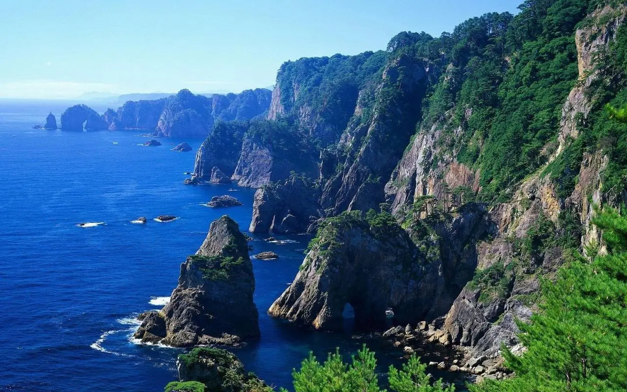 高性能高性能